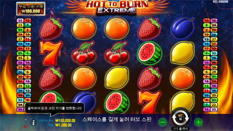 피닉스 포지